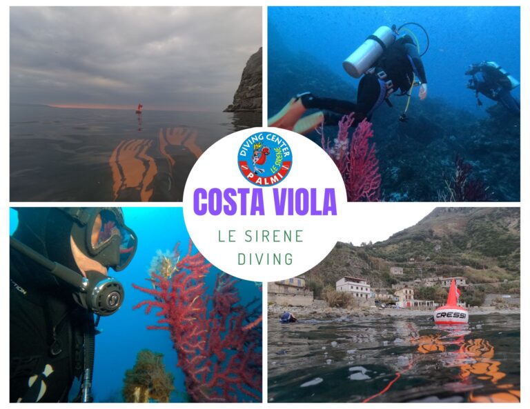 photobook le sirene diving